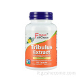 Supplemento Tribulus per uomini Supporta il supplemento ENERY